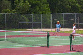 367 Saunders Drive Bushkill, PA 18324 - Photo 64 of 64 Outdoor Tennis Court