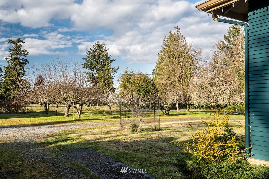 9048 Southwest Soper Road Vashon, WA 98070 - Photo 26 of 27 a view of a big yard with palm trees