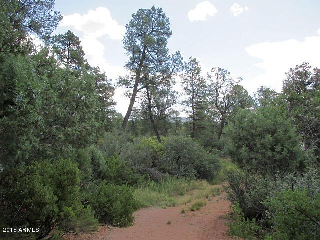 596 Pinon Road Star Valley, AZ 85541 - Photo 8 of 14 Photo 08