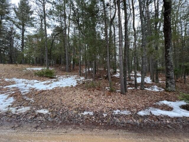 North Ausable Road Mio, MI 48647 - Photo 14 of 16 Gallery Image 14