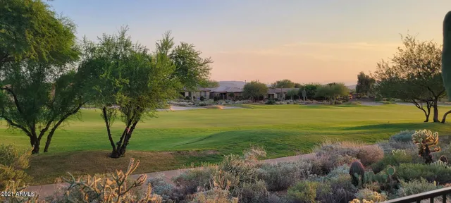 a view of a park with large trees