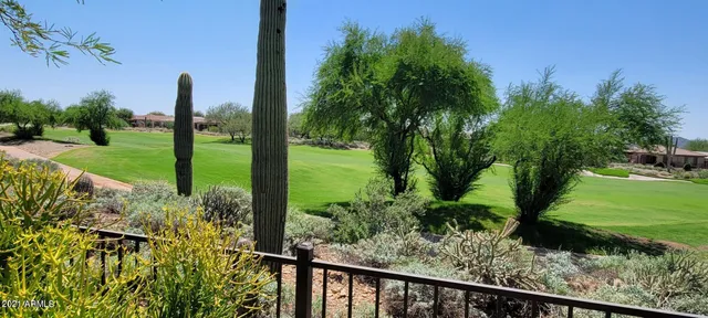 a view of a garden with plants