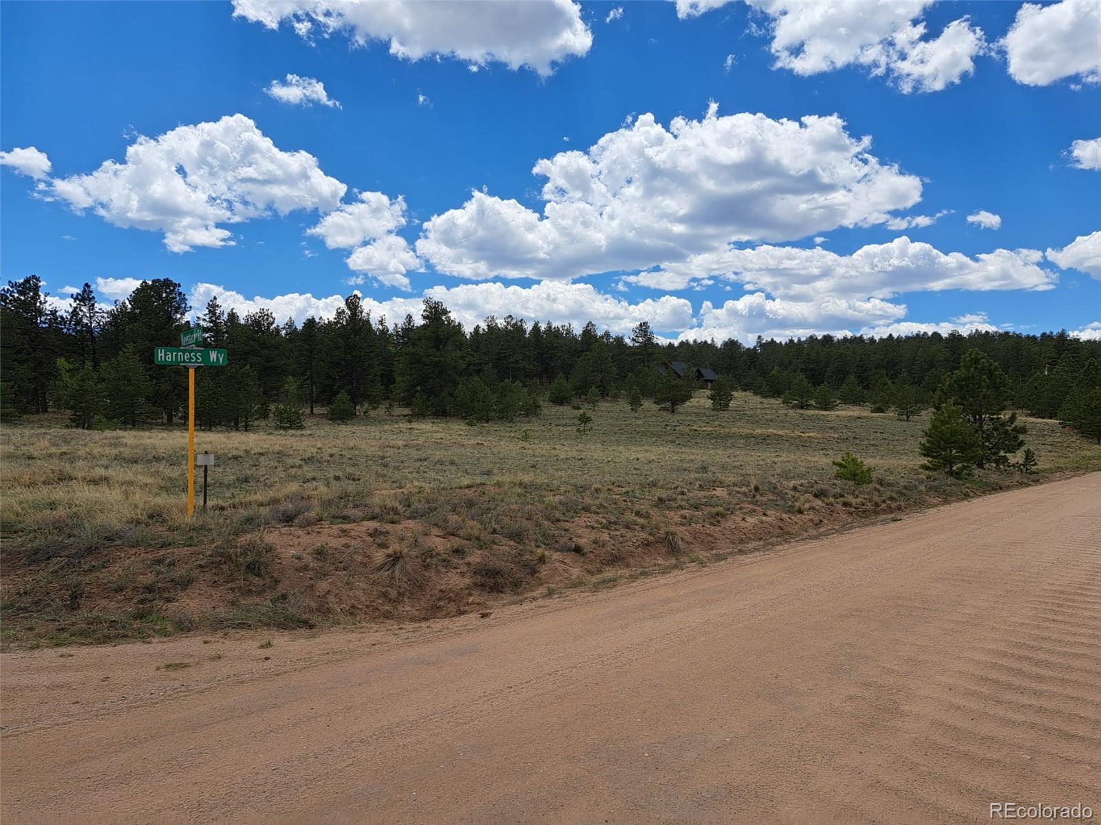 311 Haystack Road Hartsel, CO 80449 - Photo 7 of 12 Gallery Image 7