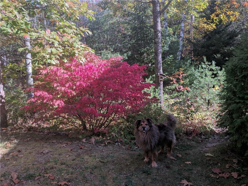 47 Junction Road Westport Island, ME 04578 - Photo 28 of 28 Photo