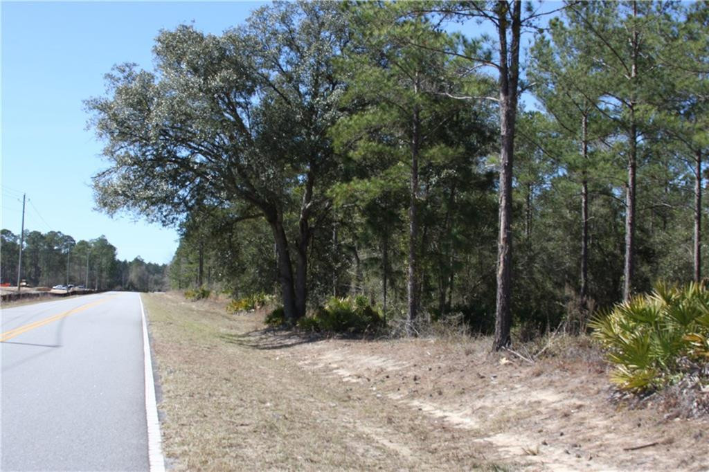 0 Southwest King Swamp Road Southwest Darien, GA 31305 - Photo 2 of 6