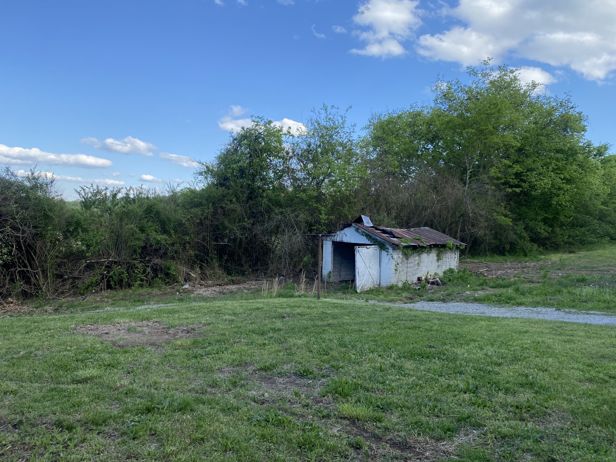 1025 Chandler Road Ashland City, TN 37015 - Photo 11 of 12 a view of a big yard with plants and a tree