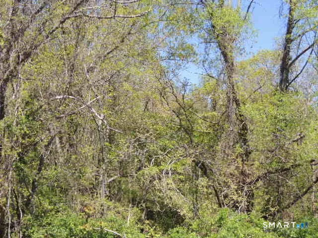 a view of a yard with a tree