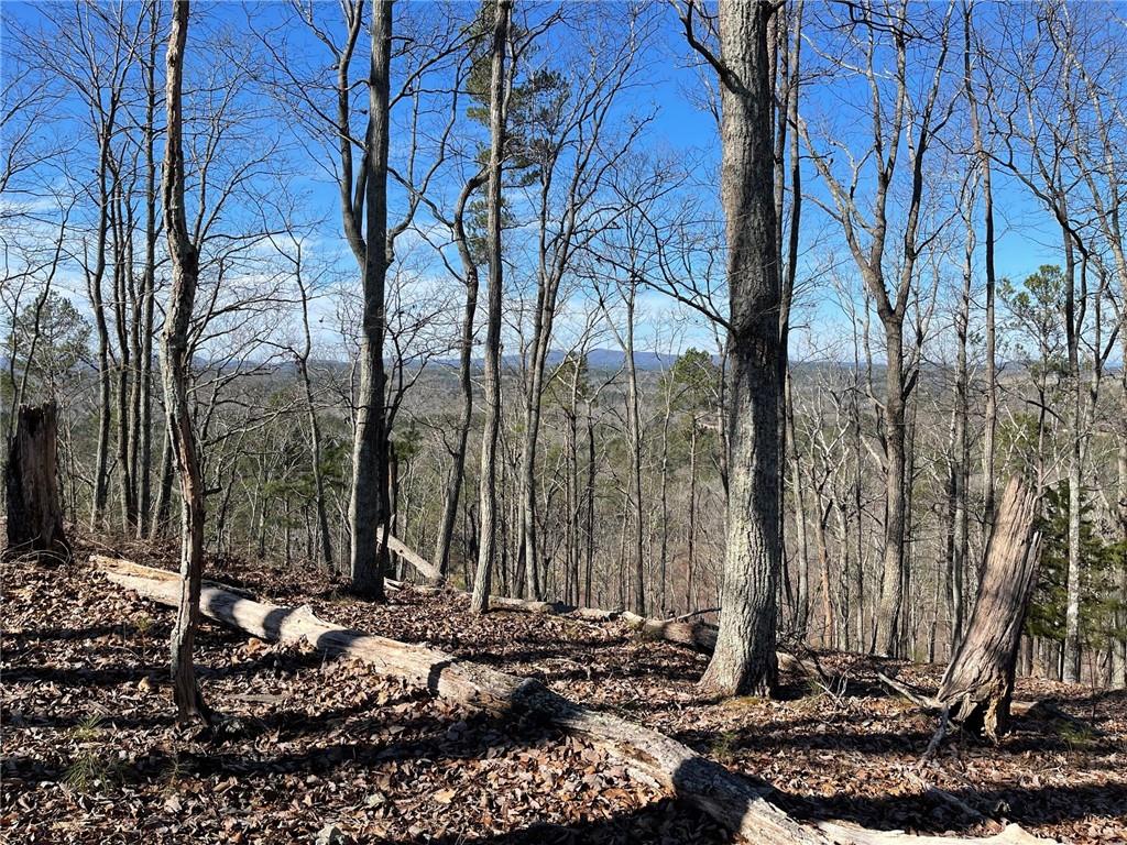 A Johnson Lake Road, Unit 0A Cedartown, GA 30125 - Photo 10 of 19 a view of a forest filled with trees