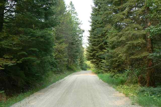 0 North Wallis Road Mead, WA 99021 - Photo 1 of 9