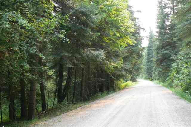 0 North Wallis Road Mead, WA 99021 - Photo 2 of 9