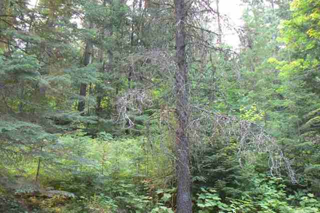 0 North Wallis Road Mead, WA 99021 - Photo 3 of 9