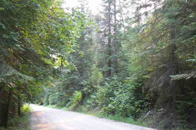 0 North Wallis Road Mead, WA 99021 - Photo 4 of 9
