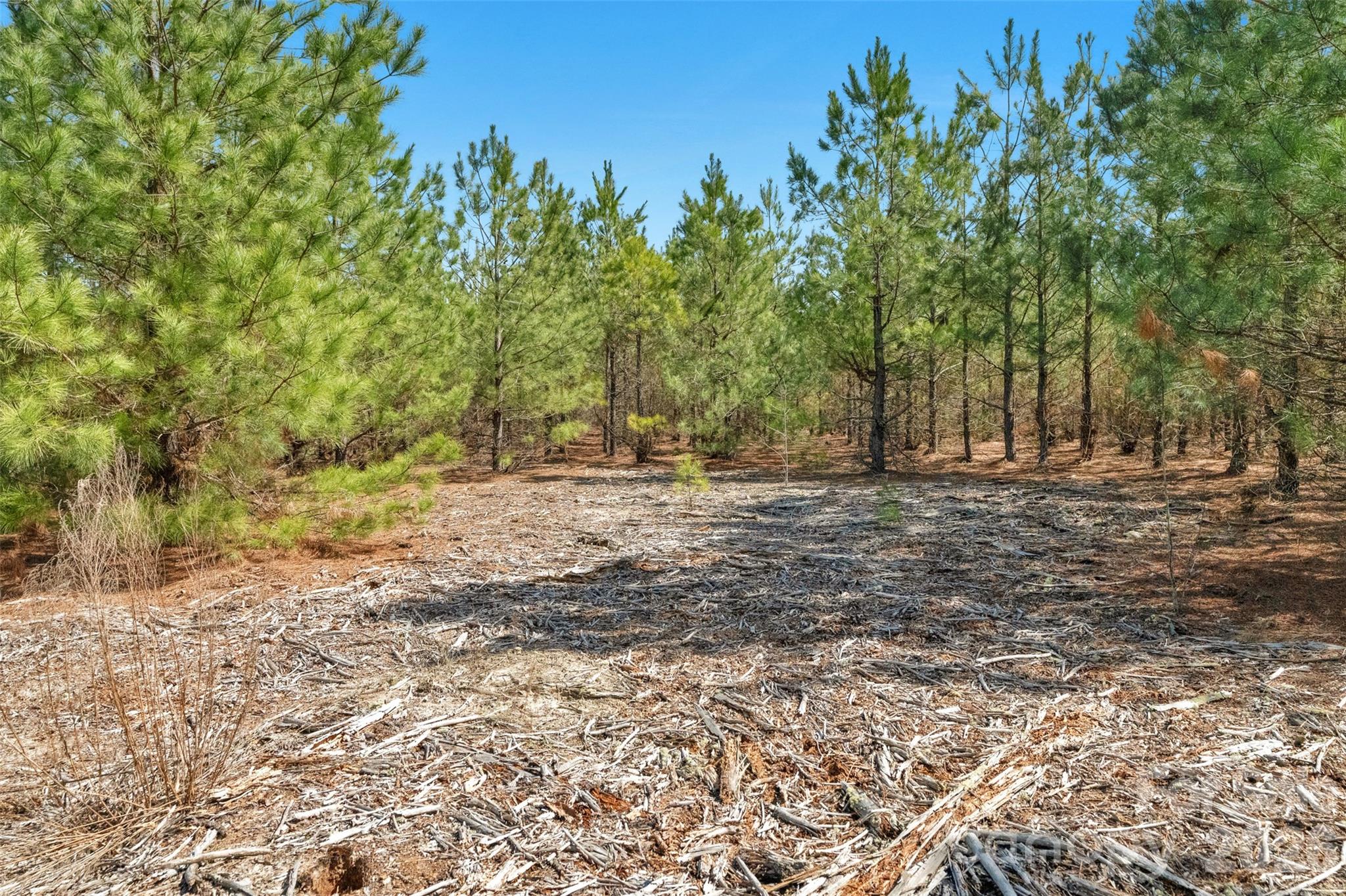 931 Charlie Johnson Road, Unit 2 Kershaw, SC 29067 - Photo 27 of 35