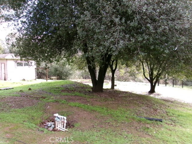17392 Cache Creek Road Clearlake Oaks, CA 95423 - Photo 5 of 25 a view of a yard with a tree