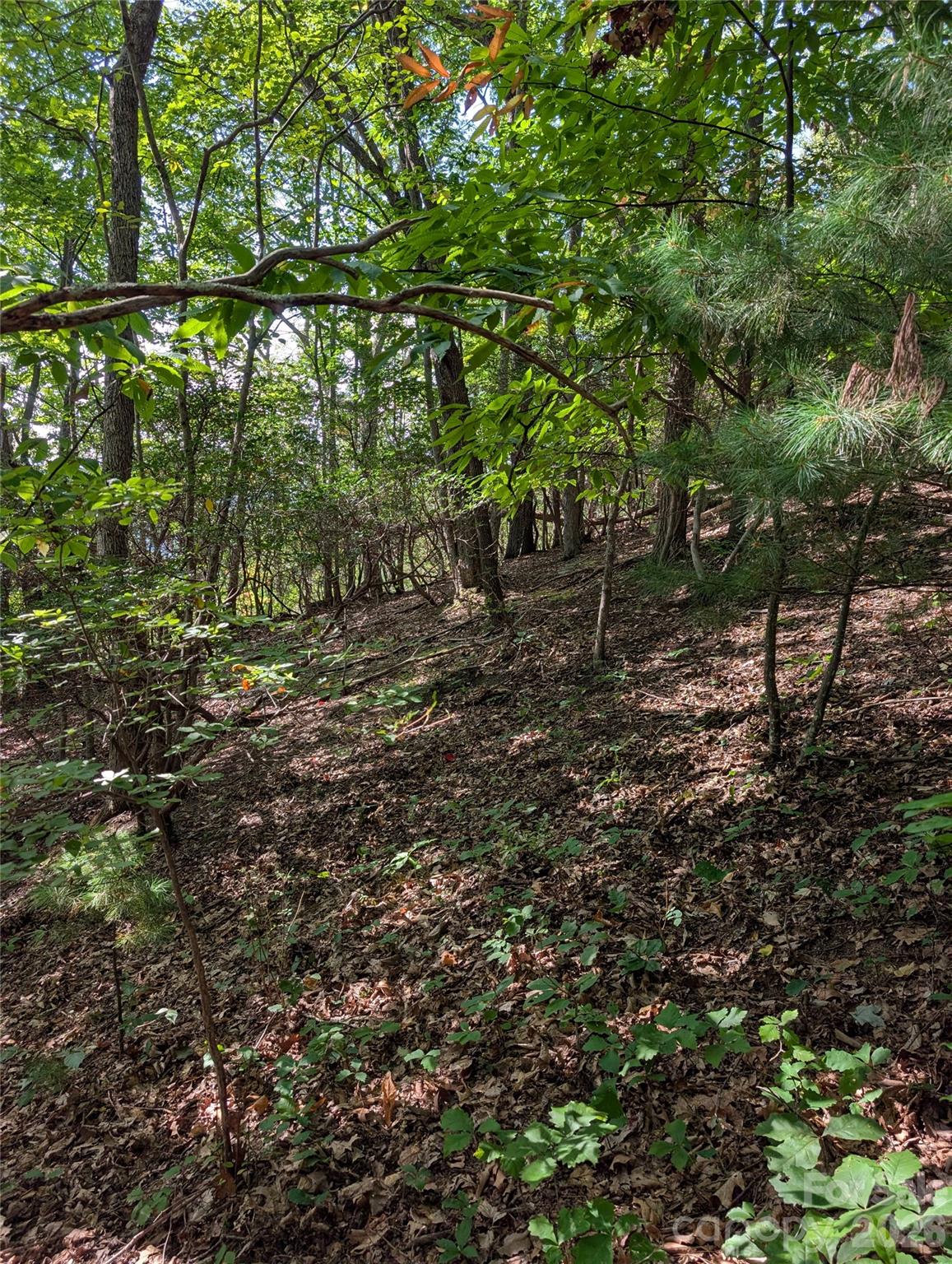 0 Raspberry None Spring Creek, Unit NONE Hot Springs, NC 28743 - Photo 7 of 9 Gallery Image 7