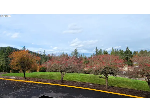 a park view with a outdoor space