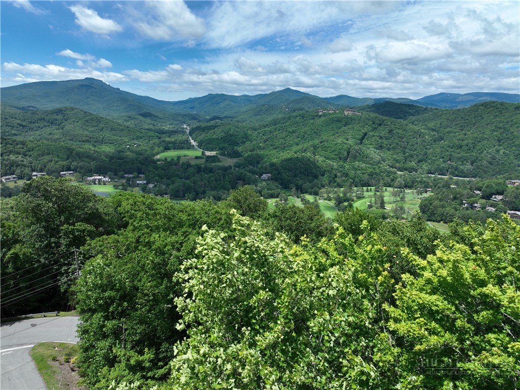 a view of a green field with lots of bushes