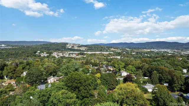 a view of a city with lush green forest