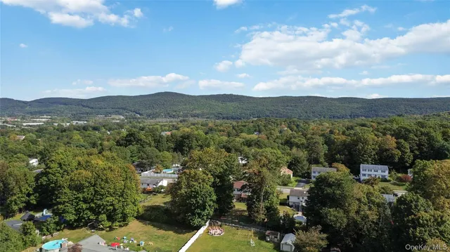 a view of a city with mountain