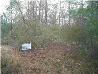 0 Howlin Road DeFuniak Springs, FL 32433 - Photo 1 of 1 Primary Photo