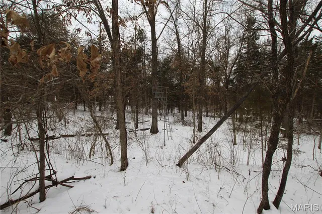 $90,000 | 6.09 State Hwy A, Truxton, MO 63381