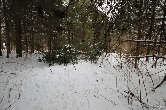 $90,000 | 6.09 State Hwy A, Truxton, MO 63381