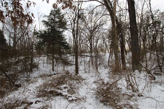 $90,000 | 6.09 State Hwy A, Truxton, MO 63381