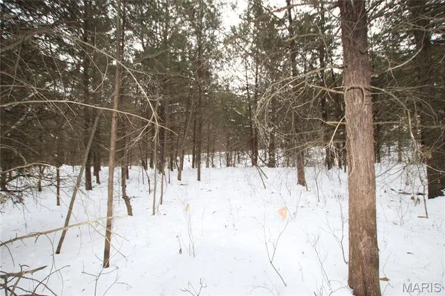 $90,000 | 6.09 State Hwy A, Truxton, MO 63381