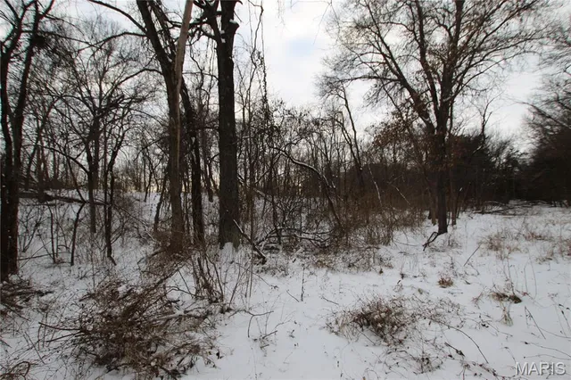 $90,000 | 6.09 State Hwy A, Truxton, MO 63381