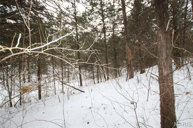 $90,000 | 6.09 State Hwy A, Truxton, MO 63381