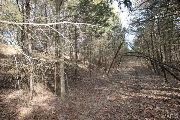 $60,000 | 6.09 State Hwy A, Truxton, MO 63381