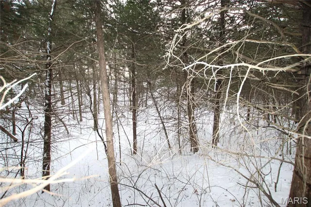 $90,000 | 6.09 State Hwy A, Truxton, MO 63381