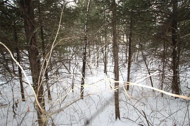 $90,000 | 6.09 State Hwy A, Truxton, MO 63381