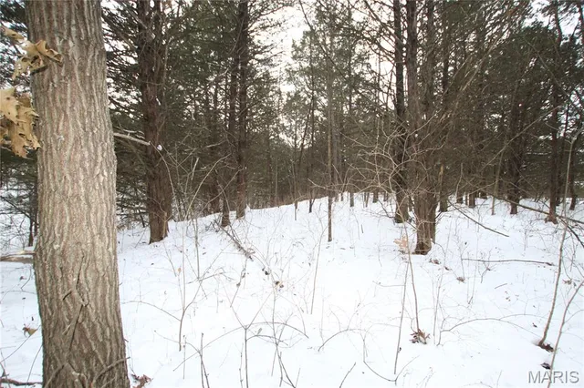 $90,000 | 6.09 State Hwy A, Truxton, MO 63381