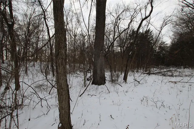 $90,000 | 6.09 State Hwy A, Truxton, MO 63381