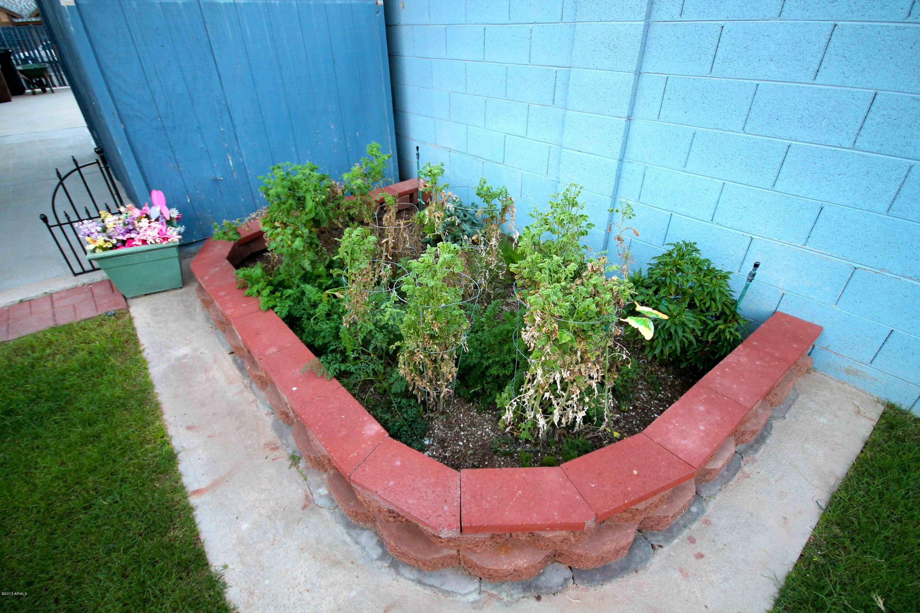 7932 West Bloomfield Road Peoria, AZ 85381 - Photo 38 of 41 garden