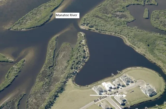 a vase of flowers sitting on a table