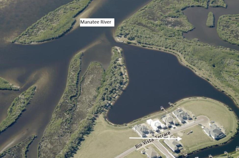 1517 Rio Vista Terrace Parrish, FL 34219 - Photo 3 of 15 a vase of flowers sitting on a table