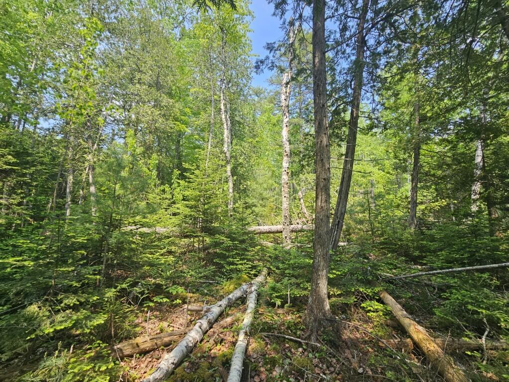 2016 Hudson Road Hudson, ME 04449 - Photo 28 of 36