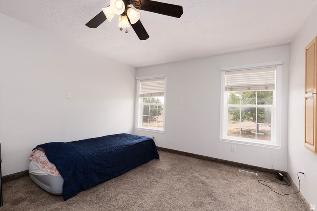 420 South Main Street Central Valley, UT 84754 - Photo 24 of 74
