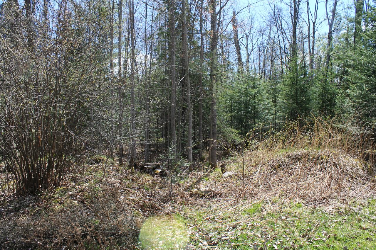 4676 Little Pike Road Mercer, WI 54547 - Photo 22 of 24 Gallery Image 22
