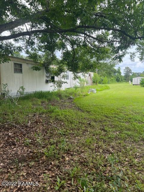 IMG_3258