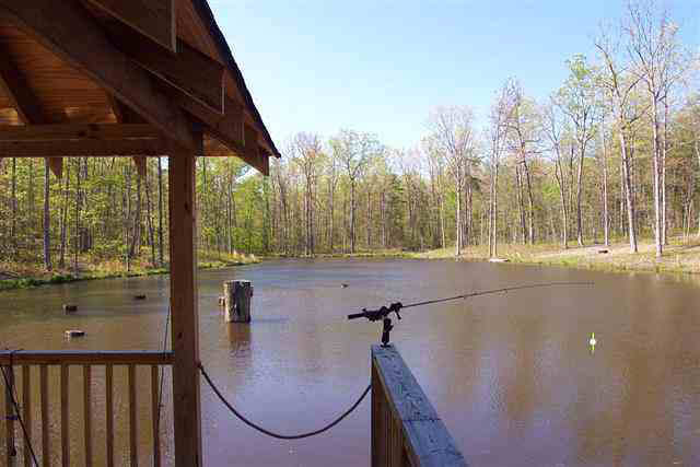 2395 Paddock Wood Road Keswick, VA 22947 - Photo 3 of 5 a view of outdoor space and yard
