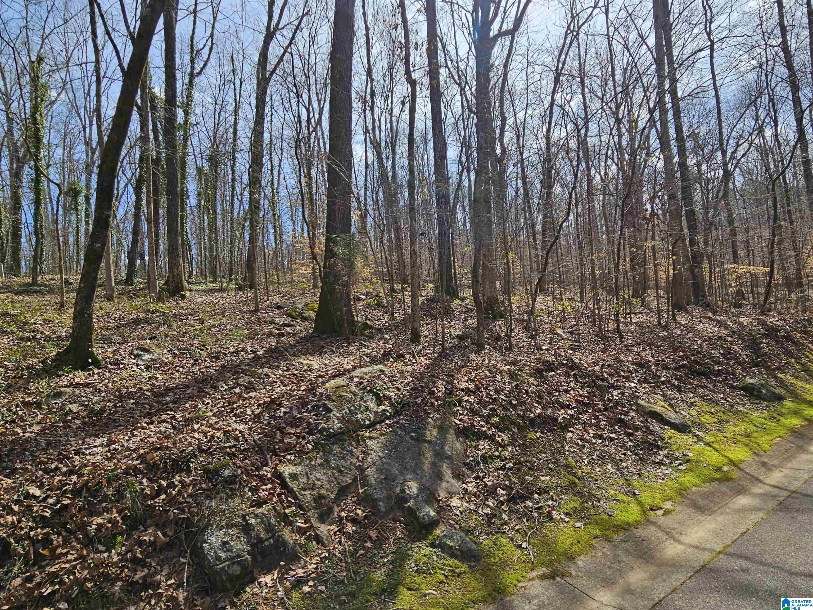 155 South Hollow Road Hayden, AL 35079 - Photo 4 of 11