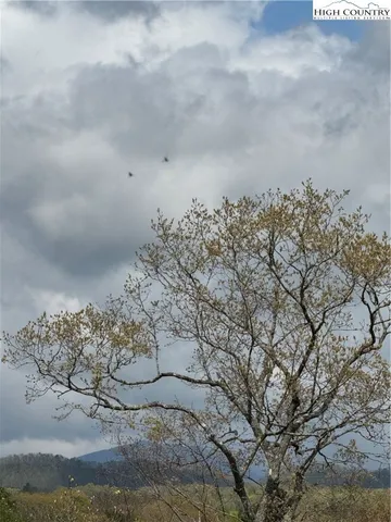 a view of a backyard with sitting area