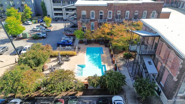 a view of a yard with plants