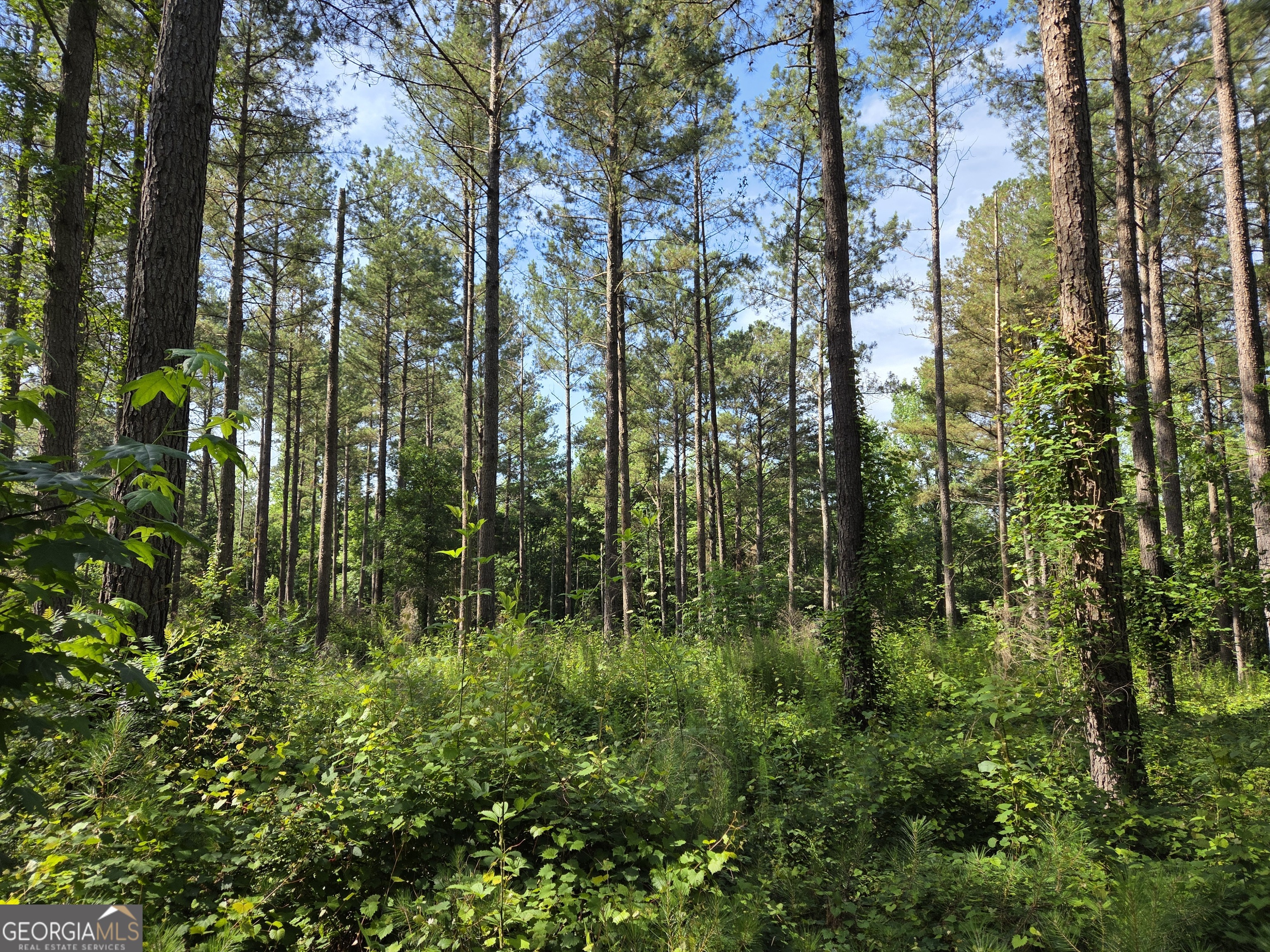-perkins Road Perkins Road Barnesville, GA 30204 - Photo 4 of 10