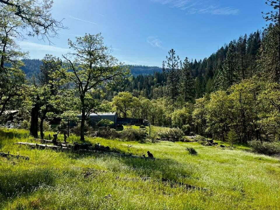 5885 Crowfoot Road Trail, OR 97541 - Photo 1 of 45 Crowfoot 5