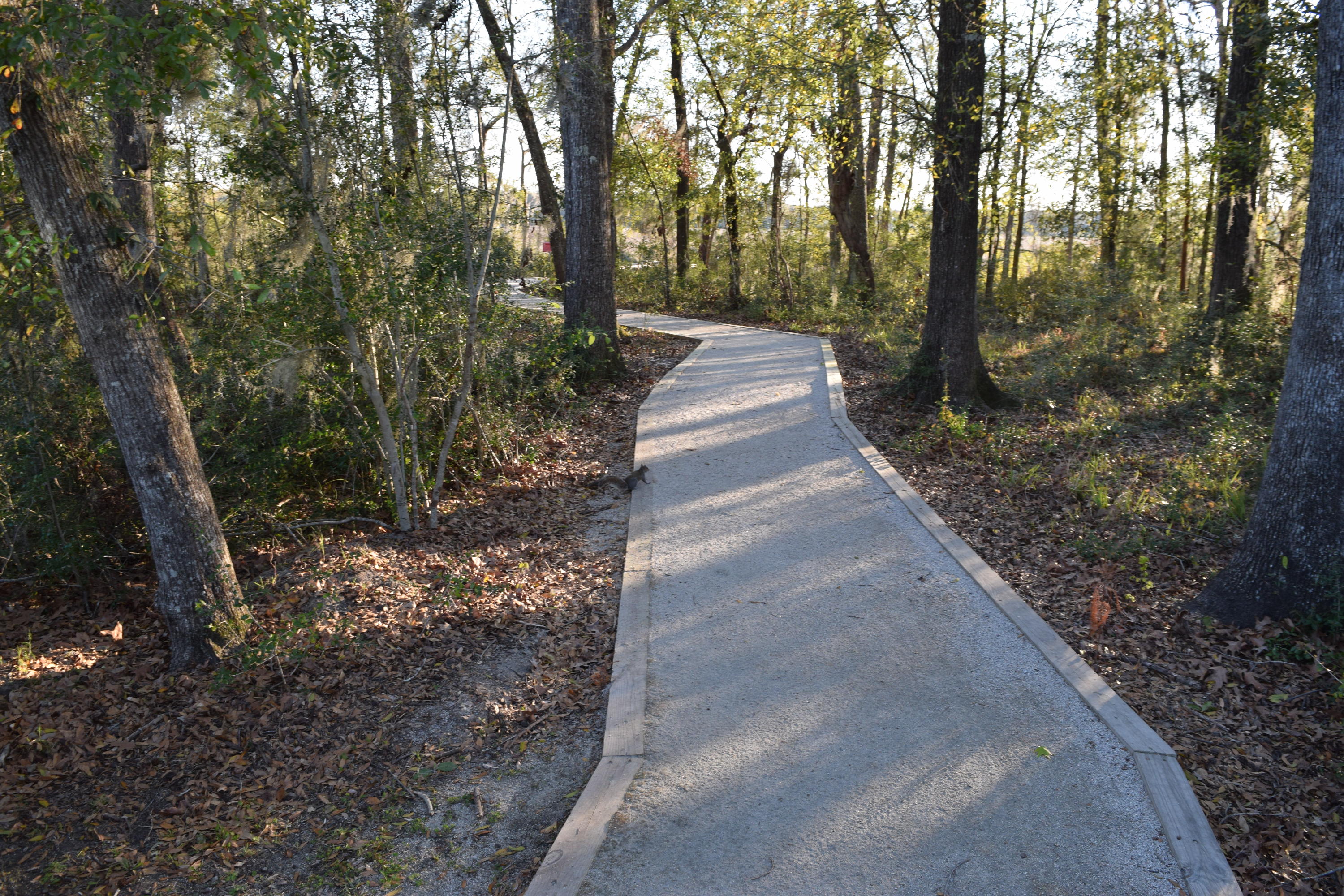 5462 Rising Tide North Charleston, SC 29420 - Photo 22 of 24 DSC_0211