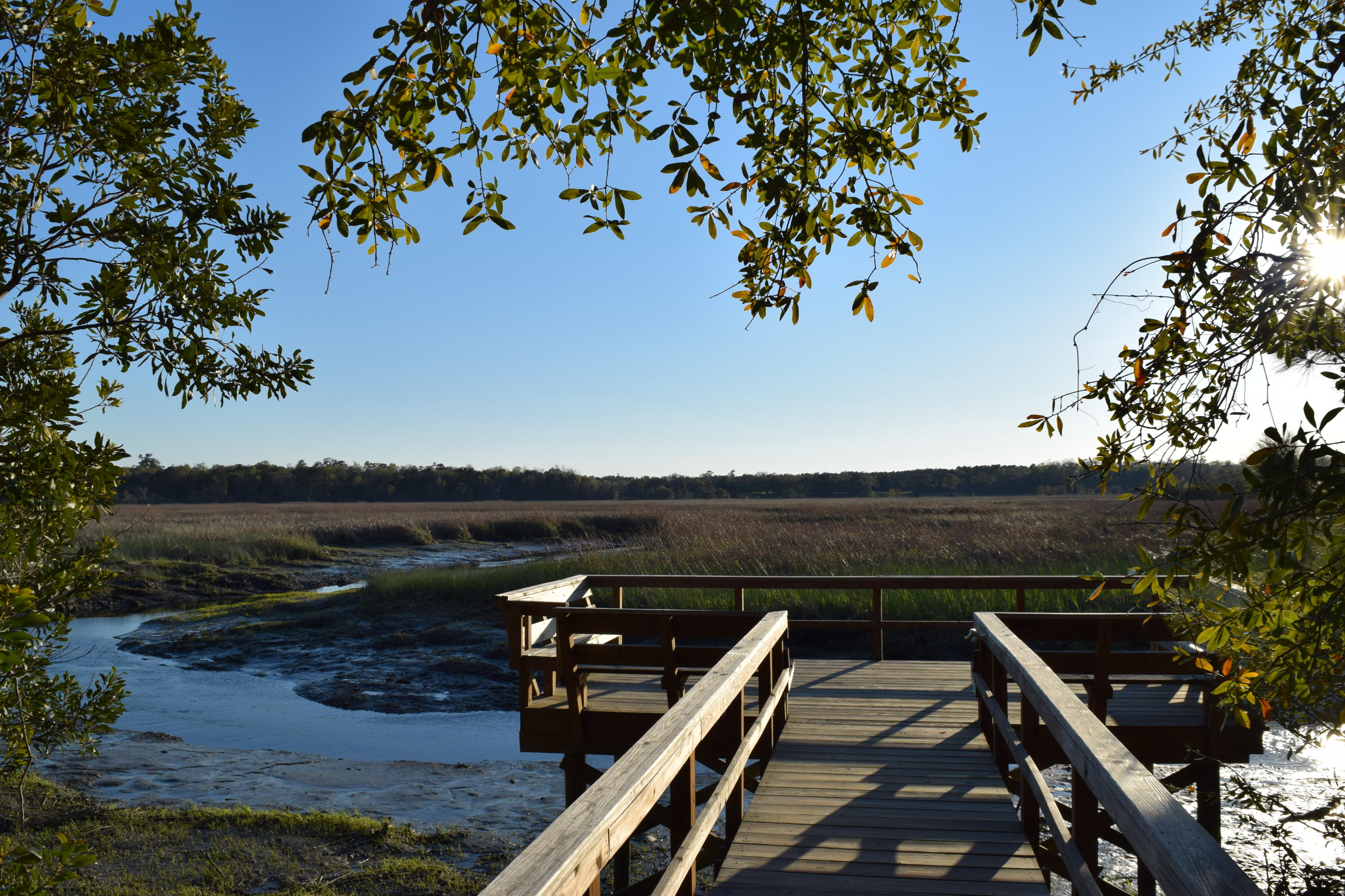 5462 Rising Tide North Charleston, SC 29420 - Photo 23 of 24 DSC_0216